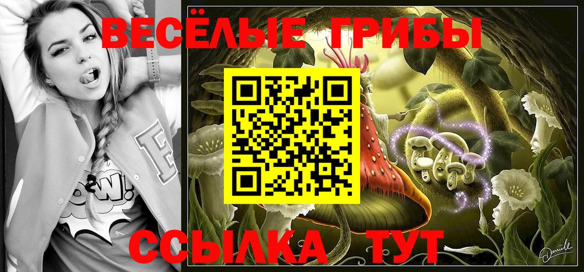 Галлюциногенные грибы Cubensis Валуйки