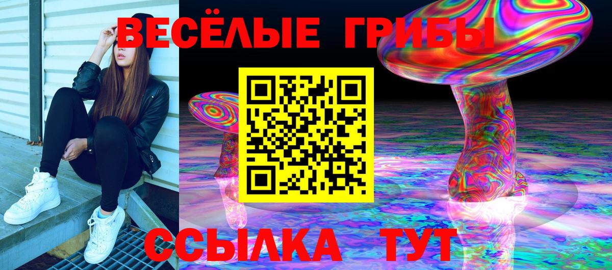 Валуйки  Псилоцибиновые грибы Magic Shrooms  Вход с VPN 