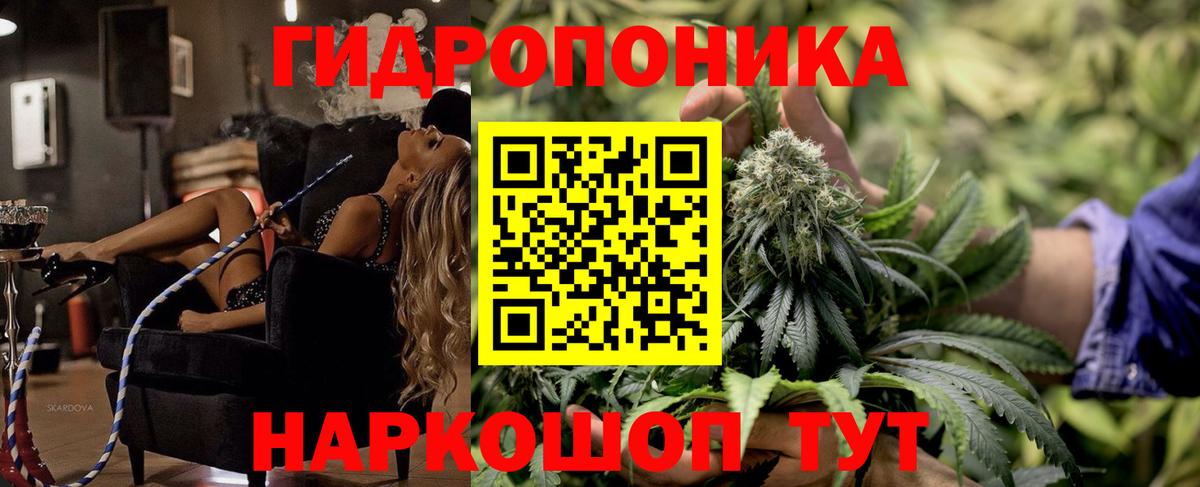 Бошки марихуана конопля  Вход с VPN  Бошки марихуана марихуана  Валуйки  Канабис ГИДРОПОН  МАРИХУАНА AK-47 